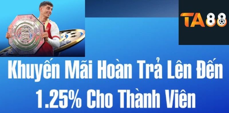 Chương trình hoàn trả tiền khi thua cá cược